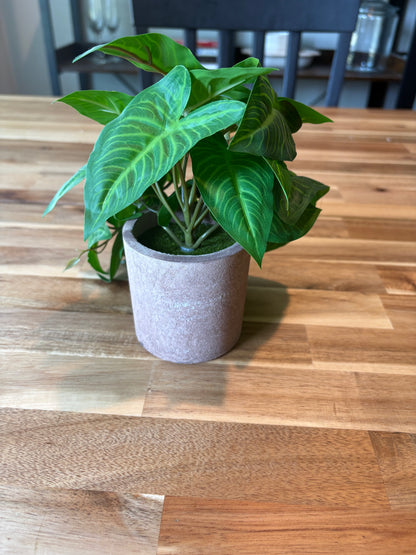 Tiny Fake Plant For Shelves