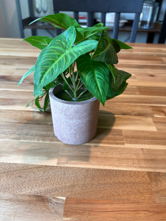 Tiny Fake Plant For Shelves