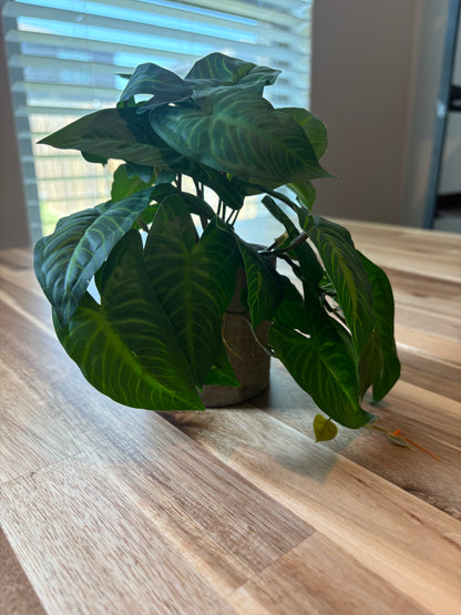 Tiny Fake Plant For Shelves